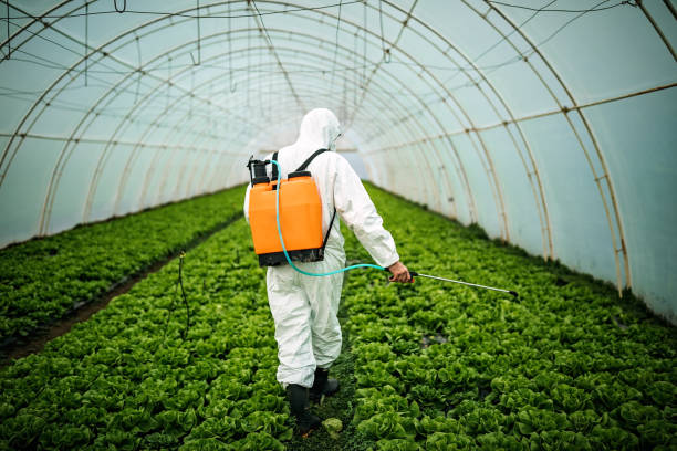 Best Residential Pest Control  in West Yellowstone, MT