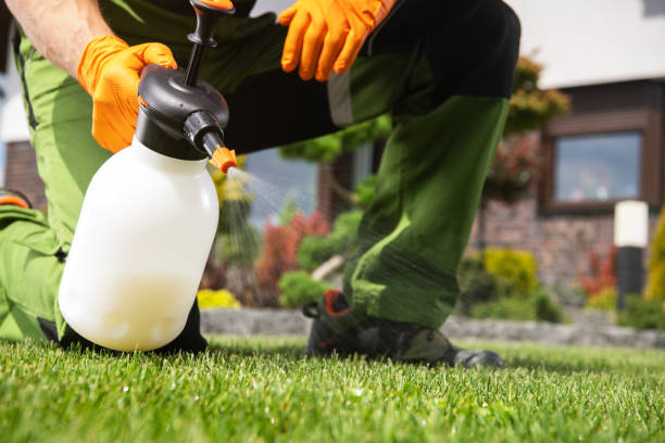 Best Emergency Pest Control  in West Yellowstone, MT